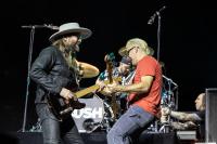 Bush. Foto: Lykke Nielsen