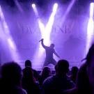 Daze of June Cold i Poolen - fotograf Joachim Vilstrup