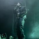 Siamese i Poolen - fotograf Joachim Vilstrup