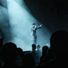 Siamese i Poolen - fotograf Joachim Vilstrup