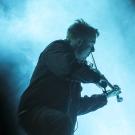 Siamese i Poolen - fotograf Joachim Vilstrup