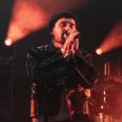 Siamese i Poolen - fotograf Joachim Vilstrup