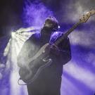 Siamese i Poolen - fotograf Joachim Vilstrup