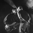 Siamese i Poolen - fotograf Joachim Vilstrup