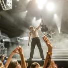 Siamese i Poolen - fotograf Joachim Vilstrup