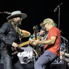 Bush. Foto: Lykke Nielsen