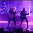 Vola. Foto: Lykke Nielsen