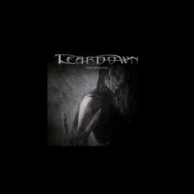 Teardown - Inner Distortions