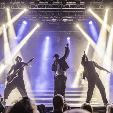 Siamese - Poolen - 6. december 2025