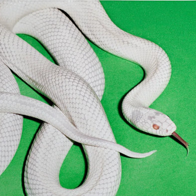 Deftones - Private Music