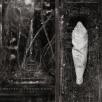 Wolves In The Throne Room - Estuary