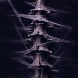 Odd Palace - Blood & Bones