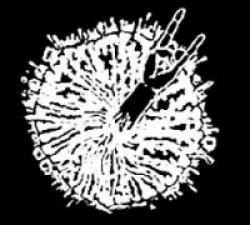 Destructive Explosion of Anal Garland