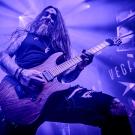 Trold. Foto: Sebastian Danmark