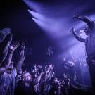 Trold. Foto: Sebastian Danmark