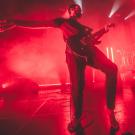 Karnivool af Rolf Meldgaard