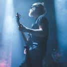 Karnivool af Rolf Meldgaard