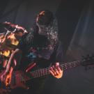 Karnivool af Rolf Meldgaard