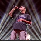 Landmvrks. Foto: Lykke Nielsen