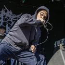 FOTO: Lykke Nielsen Photography