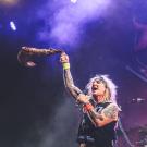 Steel Panther af Rolf Meldgaard