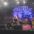 Steel Panther af Rolf Meldgaard