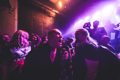 Møl af Rolf Meldgaard