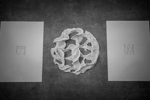 Billede af Rolf Meldgaard