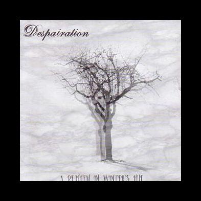 Despairation - A Requiem In Winter's Hue
