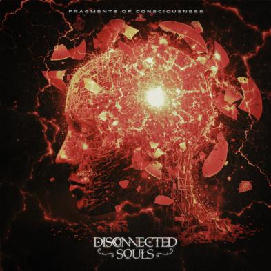  Disconnected Souls - Fragments of Consciousness