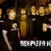 Despised Icon: Stream ny sang