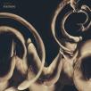 Siamese - dissolution