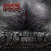 Imperious Mortality - Realm of Mortal Decay