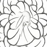 SPLIT - A Thousand Reflections