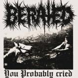 BERATED - YOU PROBABLY CRIED