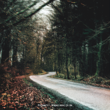 Fordærv - Nogen Skal Jo Dø