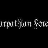 Carpathian Forest