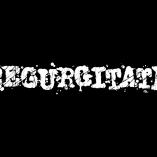 Regurgitate