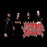 De morbide engle på W:O:A