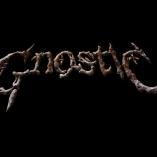 Gnostic