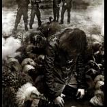 Nyt fra The Foreshadowing